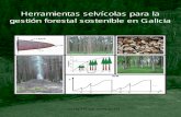 Herramientas selvÃcolas para la gestiÃ³n forestal ... · gestores forestales de Galicia y de las regiones próximas, además de entre investigadores, docentes y estudiantes de