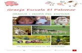 Granja Escuela El Palomargranjaescuelaelpalomar.com › wp-content › uploads › 2016...• Fomento del respeto a la naturaleza, a la fauna y flora autóctonas. ¡Descubrimos la