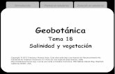 Tema 18 Salinidad y vegetación - Universidad de …17 Introducción Plantas en saladares Zonación en saladares Contacto entre almarjar de Sarcocornia fruticosa y albardinal (San