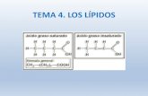 TEMA 4. LOS LÍPIDOScepa-gabecquer.centros.castillalamancha.es/sites/... · Los carbonos 1 y 2 están esterificados con dos ácidos grasos, uno saturado y otro insaturado. 3. FOSFOLÍPIDOS