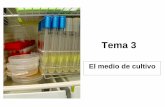 Tema 3 - OpenCourseWare de la Universidad de Oviedoocw.uniovi.es/.../1/TEMA_3._El_medio_de_cultivo_1.pdf · 2013-11-21 · Tema 3 El medio de cultivo. Elementos esenciales ... Ácidos
