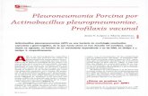Pleuroneumonía Porcina por Actinobacillus pleuropneumoniae. … · 2018-04-25 · S anidad Pleuroneumonía Porcina por Actinobacillus pleuropneumoniae. Profilaxis vacunal Jesús