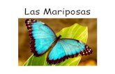 Las Mariposasoer2go.org/mods/es-mustardseedbooks/Content/Spanish/LasMaripo… · ¡La oruga se ha convertido en una mariposa! Está lista para echar a volar, poner más huevos, y