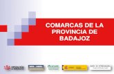 COMARCAS DE LA PROVINCIA DE BADAJOZ › diputacion › delegaciones › d... · 2020-02-28 · LLANOS DE OLIVENZA Jr LOS BALDiOS SIERRA SUROESTE TENTUDiA TIERRA DE BARROS TIERRAS