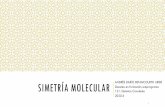 SIMETRÍA - UNAMdepa.fquim.unam.mx › amyd › archivero › Molecular-Covalente... · 2020-04-25 · GRUPOS PUNTUALES 11 Simbología Schöenflies 𝐿 á𝜎 C solo tiene eje de