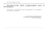 Protecció del copyright per a imatgesopenaccess.uoc.edu/webapps/o2/bitstream/10609/1062/... · comprimir fotografies digitals. 2.2.1.1 Format GIF ¾ Utilitza un algorisme de compressió