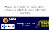 Citogenética molecular en tumores sólidos: Aplicación al ...dbcitometria.royalwebhosting.net/images/old/docs/curso/conf_8.pdf · Cáncer de mama: Factores pronósticos. 1 /4 pacientes