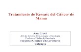 Tratamiento de Rescate del Cáncer de Mamasociedadvalencianadecirugia.com/wp-content/uploads/... · Papel de HER2 en Càncer de Mama HER2-positivo es: predictor de peor pronóstico
