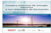 Observatorios Industriales de Castilla y León - Compra colectiva de energía · 2019-04-25 · Compra colectiva de energía eléctrica y sus requisitos de formación Grupo de Trabajo