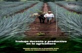 Trabajo decente y productivo en la agricultura · 2019-11-20 · rabajo decente productivo en la agricultura 3 1. Fundamento y justificación Más de mil millones de personas,1 prácticamente