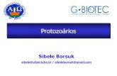 Apresentação do PowerPoint › biotecnologia › gbiotec › site › content › paginado… · Protozoários Caracterização Molecular de Agentes Infecciosos Protozoa Eucarioto