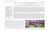Prediciendo la distribución de Polylepis: bosques Andinos … · 2014-07-10 · 2 Zutta et al. Rev. peru. biol. 19(2): 000- 000 (Agosto 2012) Especie Distribución Notas sobre ecología