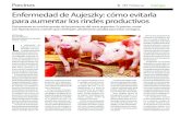 Enfermedad de Aujeszky: cómo evitarla para aumentar los ... · a enfermedad de Aujeszky es una en-fermedad viral muy contagiosa queafecta principalmente a los porcinos. Fueregistradaporprimeravez