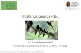 Río Blanco, cuna de vida…bdigital.unal.edu.co/65885/7/rioblanco_presentacion.pdf · en 2010 por el Secretario de Planeación de Manizales, desatendiendo los lineamientos del Decreto