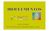 BIOELEMENTOS - Galiciacentros.edu.xunta.es/.../Presentacions/02_bioelementos.pdfauga (CO 2), feito que favorece o intercambio de dita molécula entre a célula e o medio. Polo contrario,