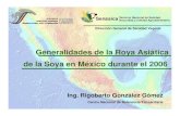 Generalidades de la Roya Asiática de la Soya en México durante el … · 2006-12-14 · Acciones de México ¾Atención de focos de infestación, en base al análisis de riesgo