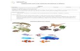 › ... › 2020 › 05 › GUÍA-N… · Web viewOBJETIVO DE LA UNIDAD: Conocer e identificar tipos de animales y sus hábitat. Invertebrados (insectos, arácnidos y crustáceos).