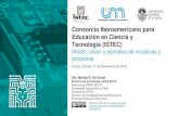 Consorcio Iberoamericano para Educación en Ciencia y ... · Consorcio Iberoamericano para la Educación en Ciencia y Tecnología. se fundó en 1990. ISTEC está registrado en el