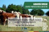 Medidas prácticas para mitigar impacto ambiental de la ganaderíaºblicos/INIA Las Brujas/PRODUCCIÓN FA… · 3, NH 4) P (total, disponible) Emisiones. GEI. N (NH. 3) Vegetal. Animal.