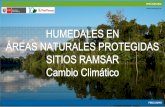 HUMEDALES EN ÁREAS NATURALES PROTEGIDAS SITIOS …re… · el Estuario del Rio Tambo y Monte Ribereño •D.S. 015-84-AG, 24 de febrero de 1984 . •Se ubica en los distritos de