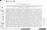 Mineducinfopublica.mineduc.gob.gt › mineduc › images › d › d1 › PROGRAMAS... · 2016-09-09 · guion dos mil quince (14-2015) del Congreso de la República de Guatemala