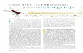 desierto habitantes: el caso de la hormiga roja · 2016-07-29 · Los desiertos, al ser ambientes inhóspitos dominados por factores abióticos (temperatura y humedad, principalmente),