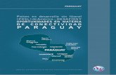 Desafíos y oportunidades en materia de conectividad – Paraguay · 2018-06-11 · Países en desarrollo sin litoral (PDSL) de América – DESAFÍOS Y OPORTUNIDADES EN MATERIA DE