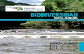 BIODIVERSIDAD - Bosques Nativos Argentinos€¦ · para la Biodiversidad () apoyamos las investigaciones de nuestros científicos argentinos. Y con ese espíritu construímos el CIAR,