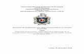 Universidad Nacional Autónoma de Nicaragua UNAN-Managua ...repositorio.unan.edu.ni/3723/1/17852.pdf · Promoción, comercialización y elaboración de paquete turístico en la comunidad