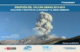ERUPCIÓN DEL VOLCÁN UBINAS 2013-2014...-La erupción 2013-2015 tiene un IEV 2, es decir es una erupción de magnitud baja a moderada. -El periodo de mayor actividad eruptiva se registró