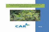 POBLACIONES DE Acacia decurrens WILLD EN LA JURISDICCIÓN … · de medidas de Manejo y/o conservación priorizadas para cuatro (4) especies de fauna o flora (amenazadas y/o invasoras)