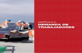 CAPÍTULO II: DEMANDA DE TRABAJADORESherramientas.ccm.cl/edch/pdf/cap3.pdf · DESARROLLO DE PROYECTOS Los principales commodities considerados para este análisis son: Commodities