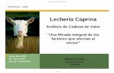 Análisis de Cadena de Valor “Una Mirada integral de los ...produccion-animal.com.ar/produccion_caprina/leche... · Fecha: Mayo 2009 MV. Alejo Correa ... • disponibilidad de producto