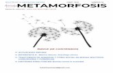 METAMORFOSIS - Amtaes · Un motivo más para celebrarlo juntos es que hemos alcanzado la cifra de 800 socios. ... significativa las visitas a nuestra página web. ... Experiencia