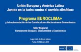 Programa EUROCLIMA+euroclimaplus.org › ... › 0-Agenda-y-Metodologia-Taller-BBE.pdfObjetivo General del Taller Lanzaroficialmente los proyectosseleccionados y financiados en el