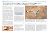 El estudio de investigadores argentinos fue tapa de una … · 2019-08-07 · logy), la revista paleontológica de ma-yor importancia mundial. La publica-ción no sólo eligió el