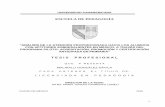 ESCUELA DE PEDAGOGÍAbiblio.upmx.mx/tesis/198893.pdf · 2019-05-21 · de Fortalecimiento de la Educación Especial y de la Integración Educativa1, concretamente con la revisión