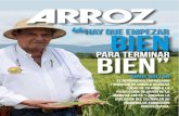 Editorial - fedearroz.com.cofedearroz.com.co/revistanew/arroz540.pdf · censo de los Llanos correspondiente a una parte de la Encuesta Nacional de Arroz Mecanizado –ENAM-, los cuales