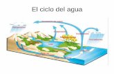 El ciclo del agua - IES Sierra Sur · Surgencia del río Segura Un año malo de lluvias Un año normal. Surgencia: nacimiento río Mundo (Albacete) Surgencia: la Cueva del Gato. Diferentes