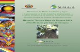 Memoria técnica de mapa de bosque 2013geo.gob.bo/portal/IMG/pdf/docs.pdf · incluyendo programas de forestación, reforestación y restauración de bosques, acompañados de la implementación