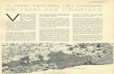 EL PARe NATURAL DEL GARRAF - Vilanova i la Geltrú · de roca i la llnórlo de clnqle, En les terres interiors hi dominen 1'01-zinar i el marfulL ja que en aquesta situació no reben