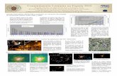 Contaminación Lumínica en España 2010 · 2017-01-16 · (b) Mosaico de la región central de la península a partir de imágenes obtenidas por Soichi Noguchi (JAXA). Se distinguen