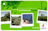 Percurso 1 - MEXA-SE EM PALMELA › z_distritos_portugal › ... · Actividade inserida no Programa Municipal ‘Mexa-se em Palmela’ Palmela a caminhar: Deslumbre-se com as paisagens,