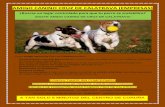 AMIGO CANINO CRUZ DE CALATRAVA (EMPRESAS) · 2020-02-05 · Como amigo canino de Cruz de Calatrava podrás : - Sociabilización esencial para tu perro, tu perro podrá sociabilizarse