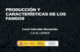 PRODUCCIÓN Y CARACTERÍSTICAS DE LOS FANGOS. SISTEMAS … · 2015-12-02 · Porcentaje corregido de Carbohidratos 39,26 36,98 39,29 ... Las instalaciones de Directiva 2008/1 (IPPC)