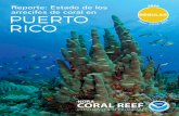 Reporte: Estado de los arrecifes de coral en Puerto Rico 2020 › monitoring › status... · Reporte: Estado de los arrecifes de coral en PUERTO RICO 2 0 2 0 REGULAR D a t a: 20