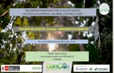 Presentación de PowerPoint - SERFOR › wp-content › uploads › 2019 › 11 › ... · 2019-11-13 · Orobioma con bosque subandino del Quindío y Antioquia en la cordillera Central