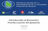 Introducción al Encuentro Puesta a punto del proyecto Tacuarembó/UFFIP... · 2016-04-18 · -Introducción al taller y programa. Puesta a punto del proyecto (V.Porcile-UFFIP) 11:30
