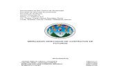 UNIVERSIDAD DE SAN CARLOS DE GUATEMALAs6b5bd906cc13caca.jimcontent.com › download › version... · mercados derivados: contratos de futuros y de opciones 1 1.1. sintesis histÓrica