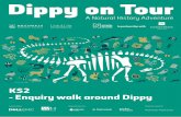 KS2 - Enquiry walk around Dippy - Visit Rochdale€¦ · which meant it laid eggs 5 and 9 miles an hour • Dippy was a herbivorous dinosaur. • • modern day elephants and humans